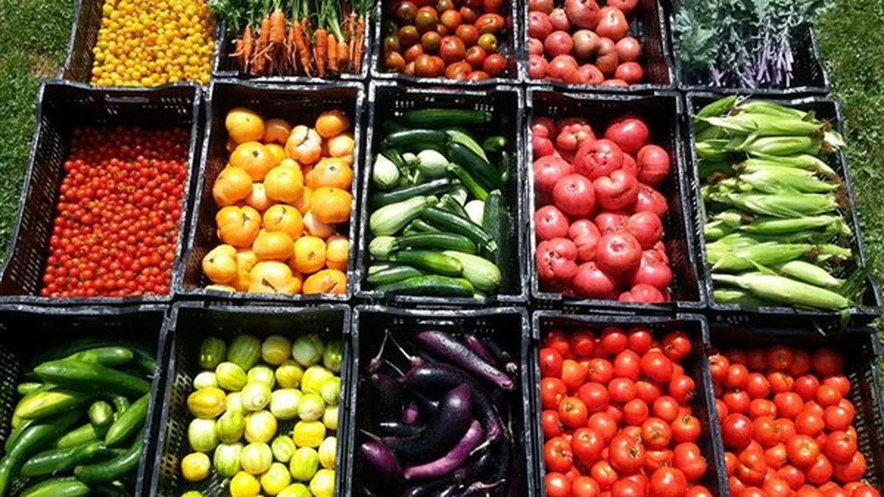 تباين أسعار الخضار في الأسواق مع انخفاض تكلفة 11 صنفاً أبرزها الطماطم